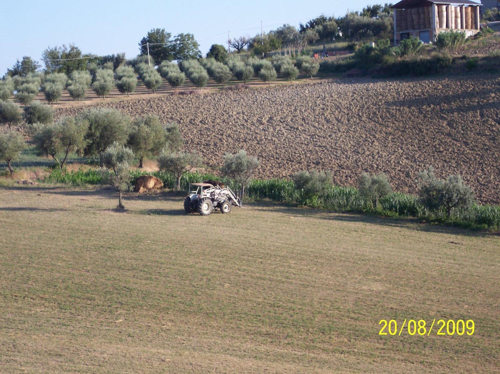Agriturismo Il Vecchio Carro Campli Exterior foto